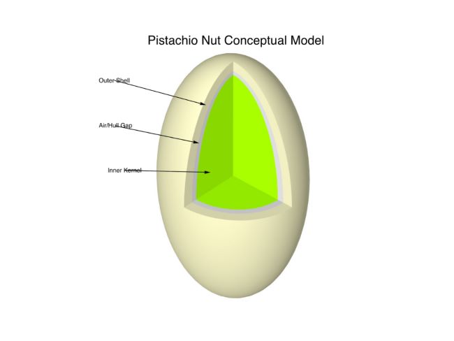 pistachio model